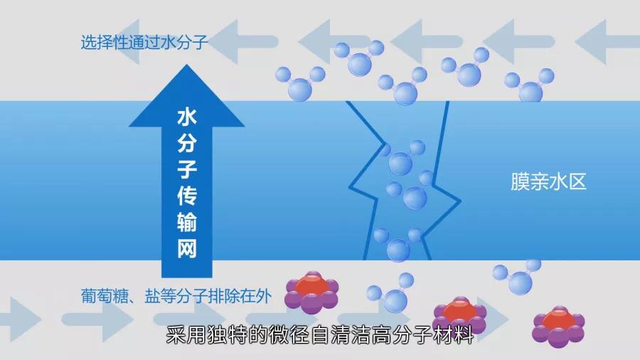 微信圖片_20200805163824.jpg