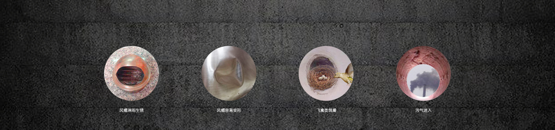 網(wǎng)站---不銹鋼風(fēng)帽_02.jpg