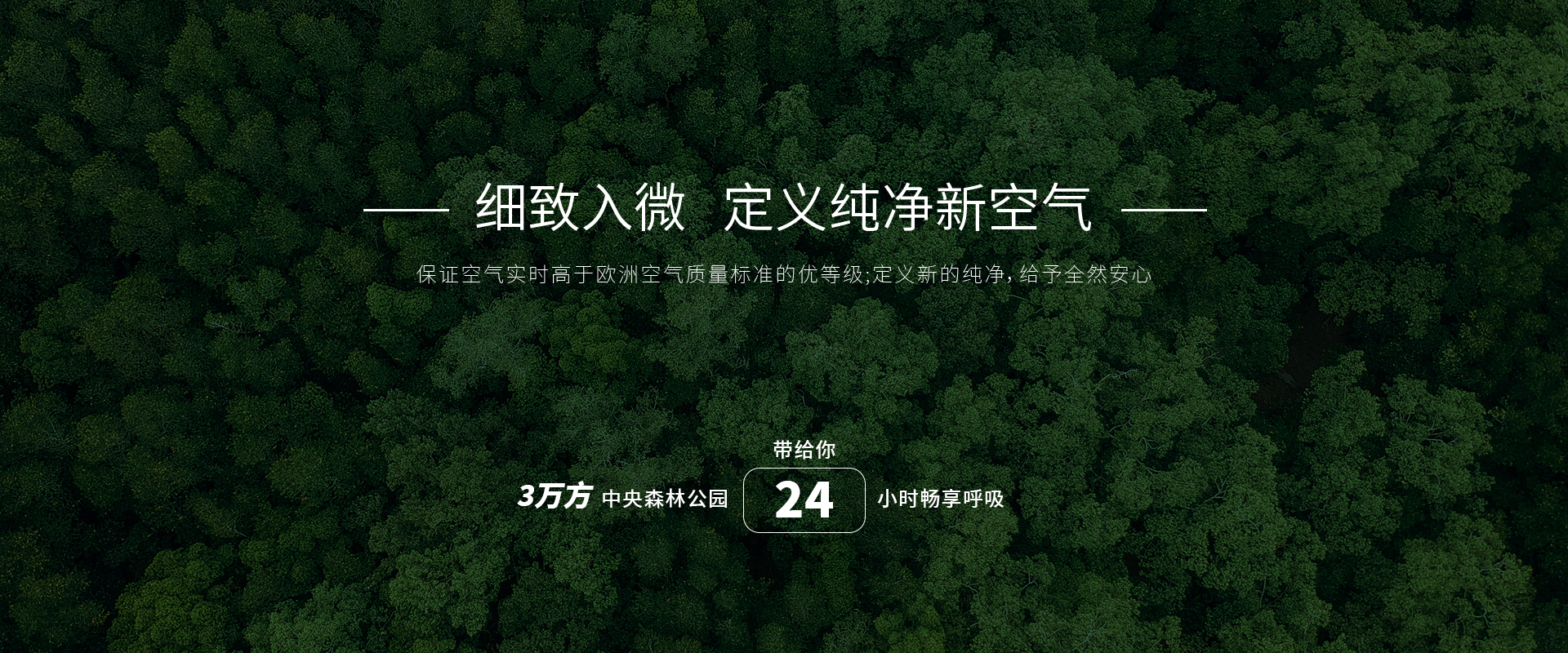 3 拷貝.jpg